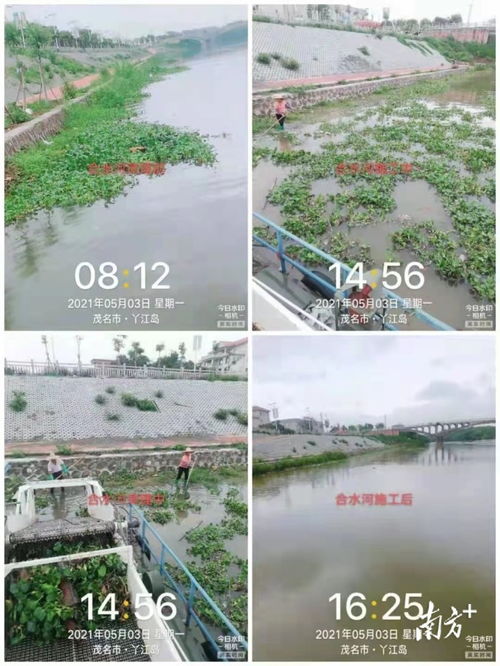 茂南水务局多措并举，筑牢水污染防治监管防线